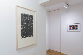 Mook Gallery