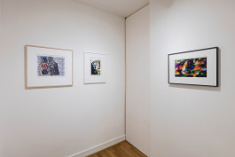 Mook Gallery