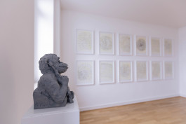 Mook Gallery