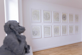 Mook Gallery